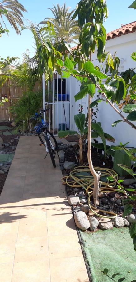 Casa vacanze Tres Beau Bungalow,jardin Tropical, Renovation Ete 2020 *