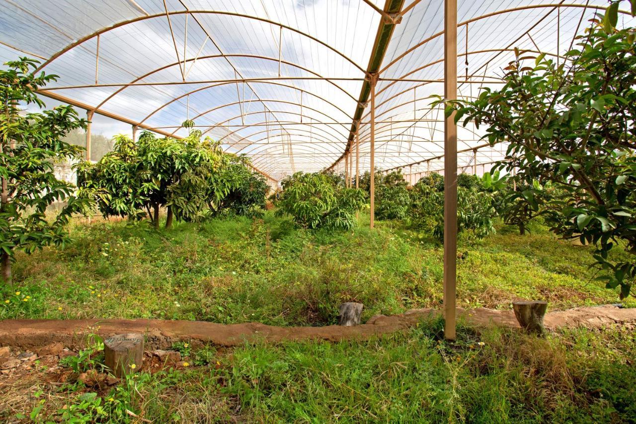 Villa Tropical Ingenio