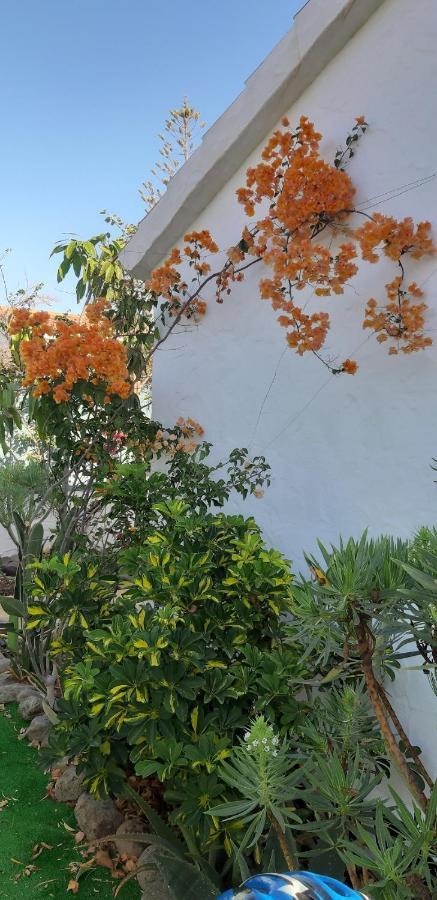 Casa vacanze Tres Beau Bungalow,jardin Tropical, Renovation Ete 2020 *