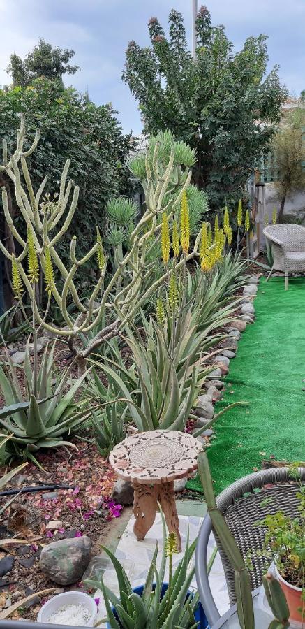 Tres Beau Bungalow,jardin Tropical, Renovation Ete 2020 Casa vacanze
