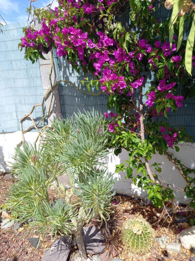 Tres Beau Bungalow,jardin Tropical, Renovation Ete 2020 Casa vacanze *