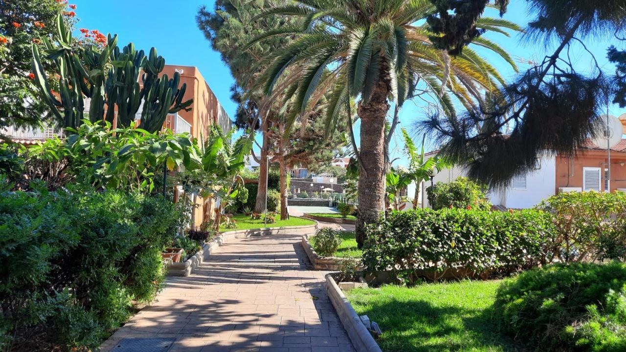 Cielo Azul Intenso Y Sol Radiante En Maspalomas Сasa de vacaciones