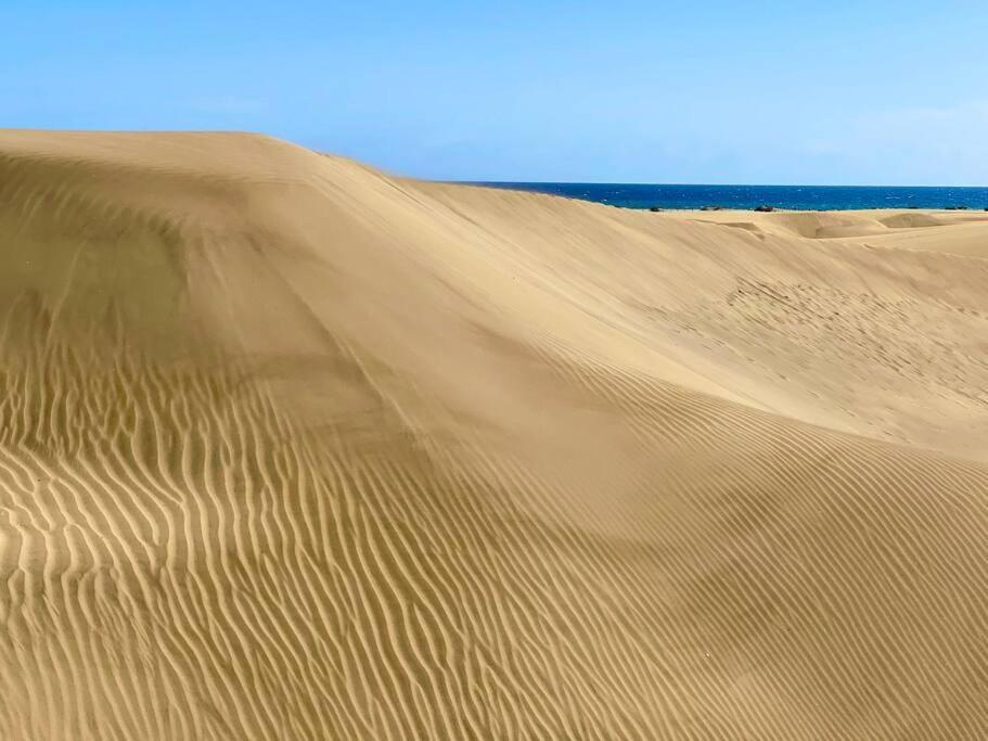 Tamaran 102 - Campos - Lux Garden Near Dunes, Quiet-central-renovated