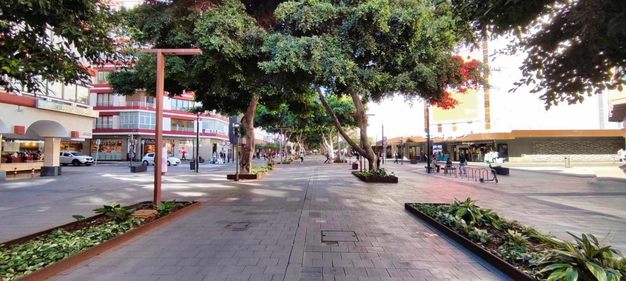 Atlanticrealtors Bernardo De La Torre Ar001 Las Palmas de Gran Canaria
