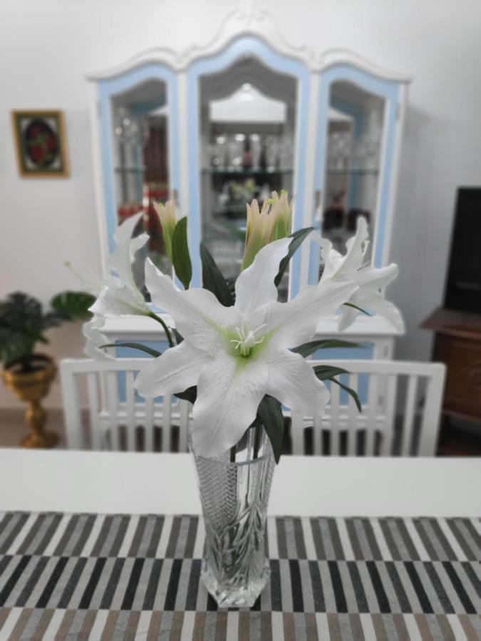 La Orquídea Apartamento *
