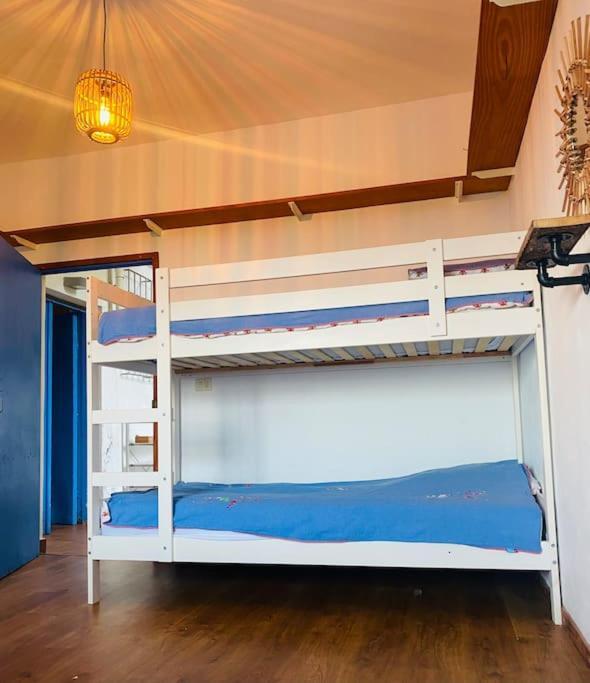 Tortuga Blue House In Banana Plantation *
