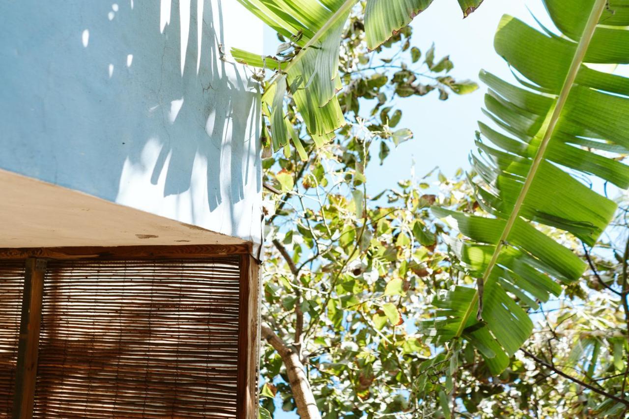 Tortuga Blue House In Banana Plantation * Arucas