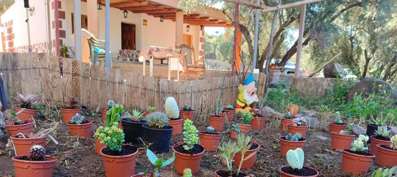 El Vergel Alloggio per agriturismo