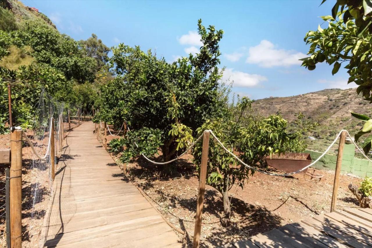 Сasa de vacaciones Finca Rural La Yedra