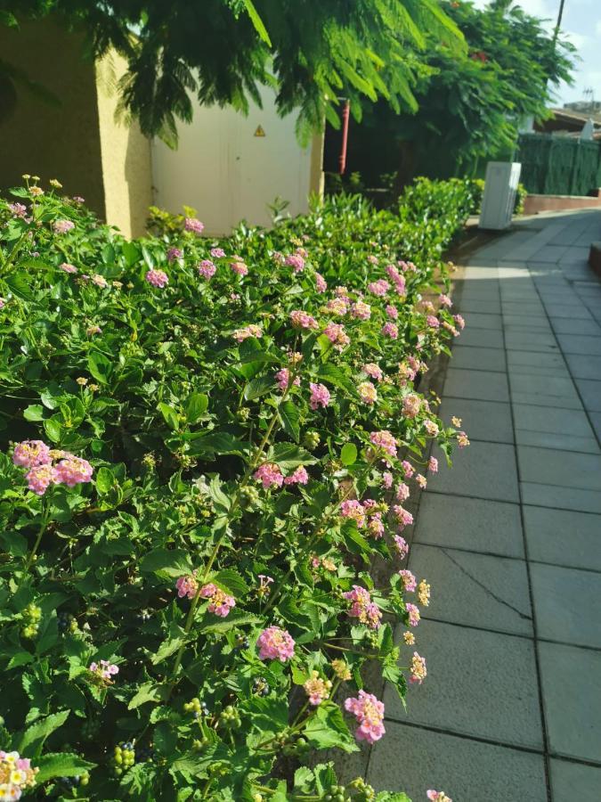 Aquarium Private Jacuzzi, 3 Bedrooms, Ac And Bikes Apartment *