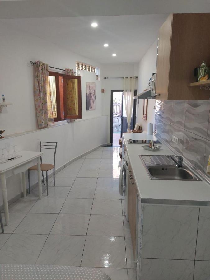 El Palmito 2