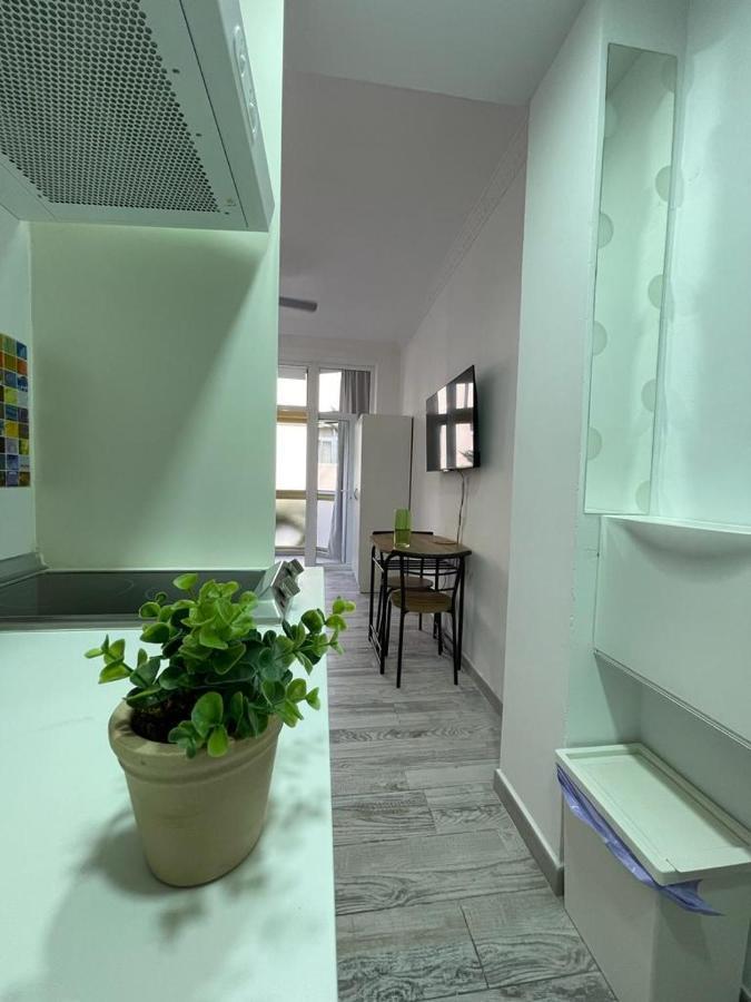 Palmeras 102 *
