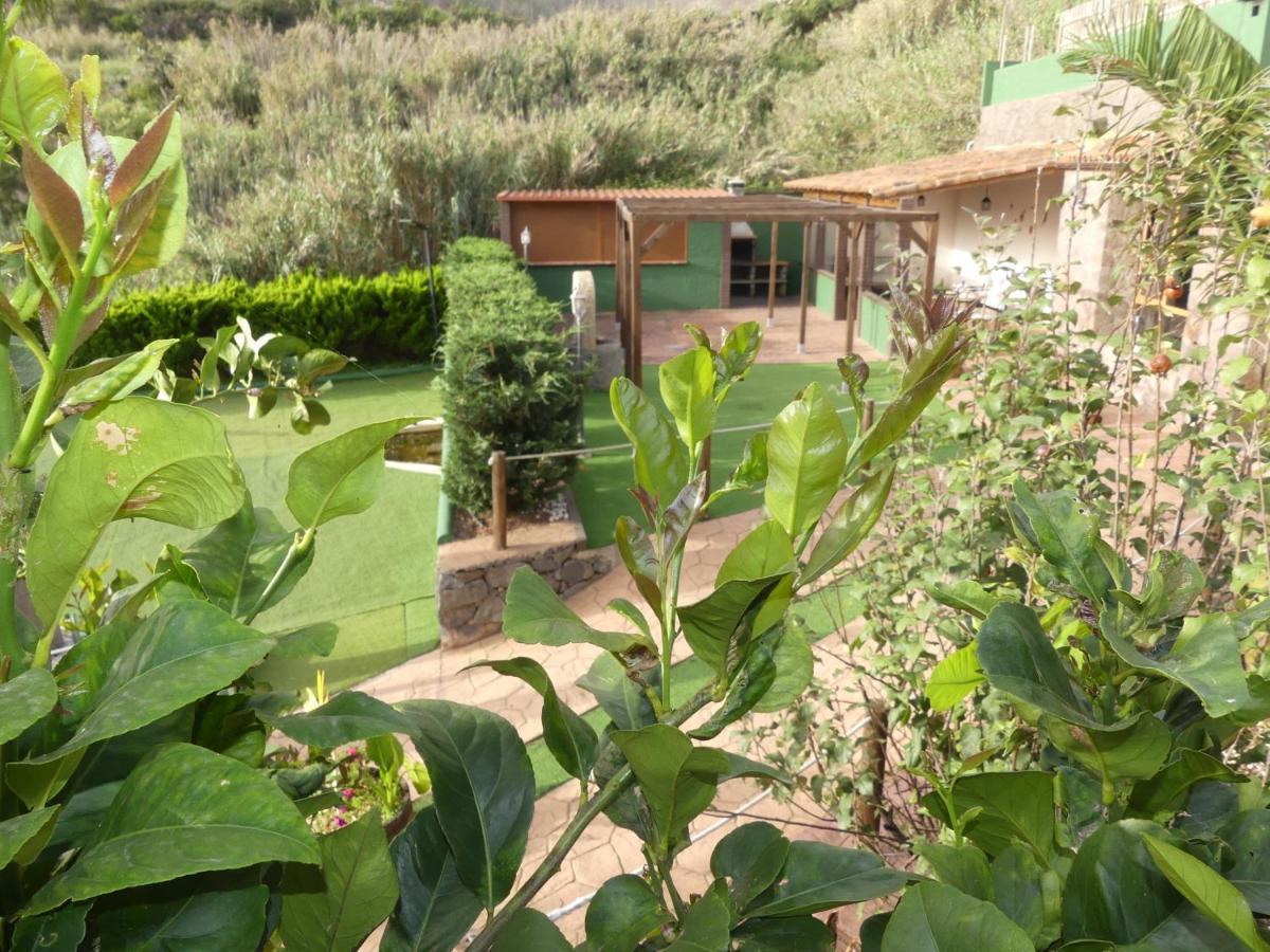 El Brezal * El Palmital