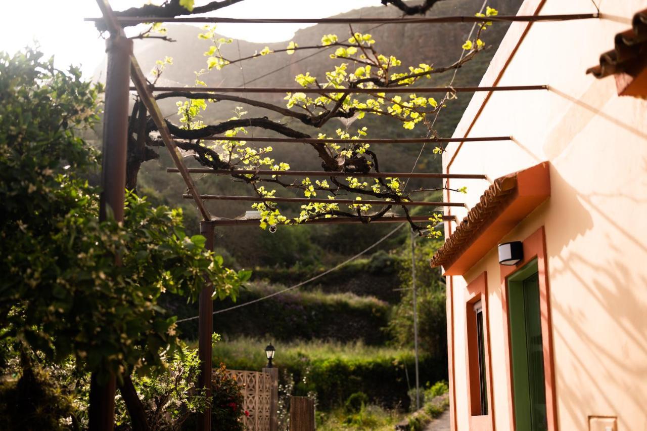 Bejeque Teror