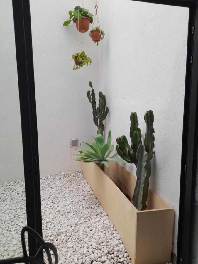 Nomada Villa Las Palmas de Gran Canaria