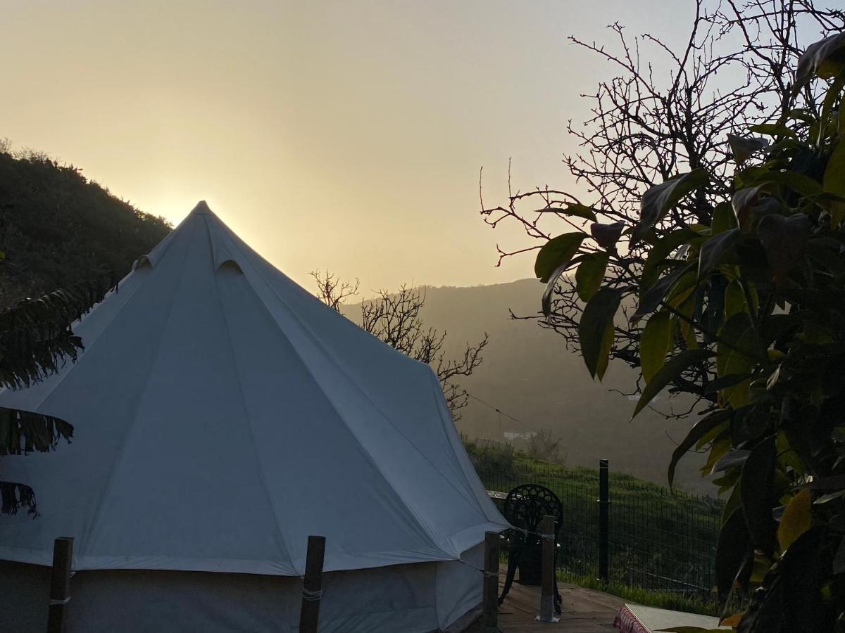 The Orchard Retreat Luxury tent