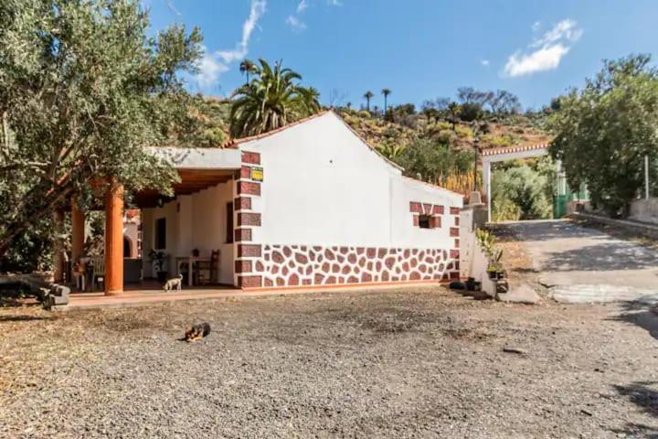 Farm stay El Vergel Santa Lucia De Tirajana