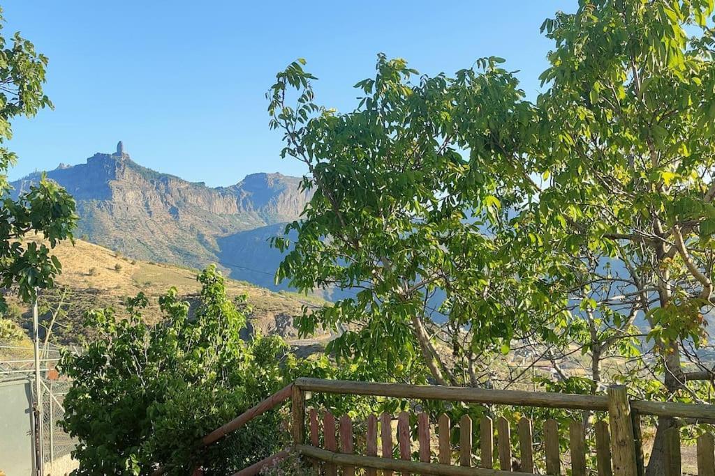 Apartamento La Cabanita Las Palmas de Gran Canaria