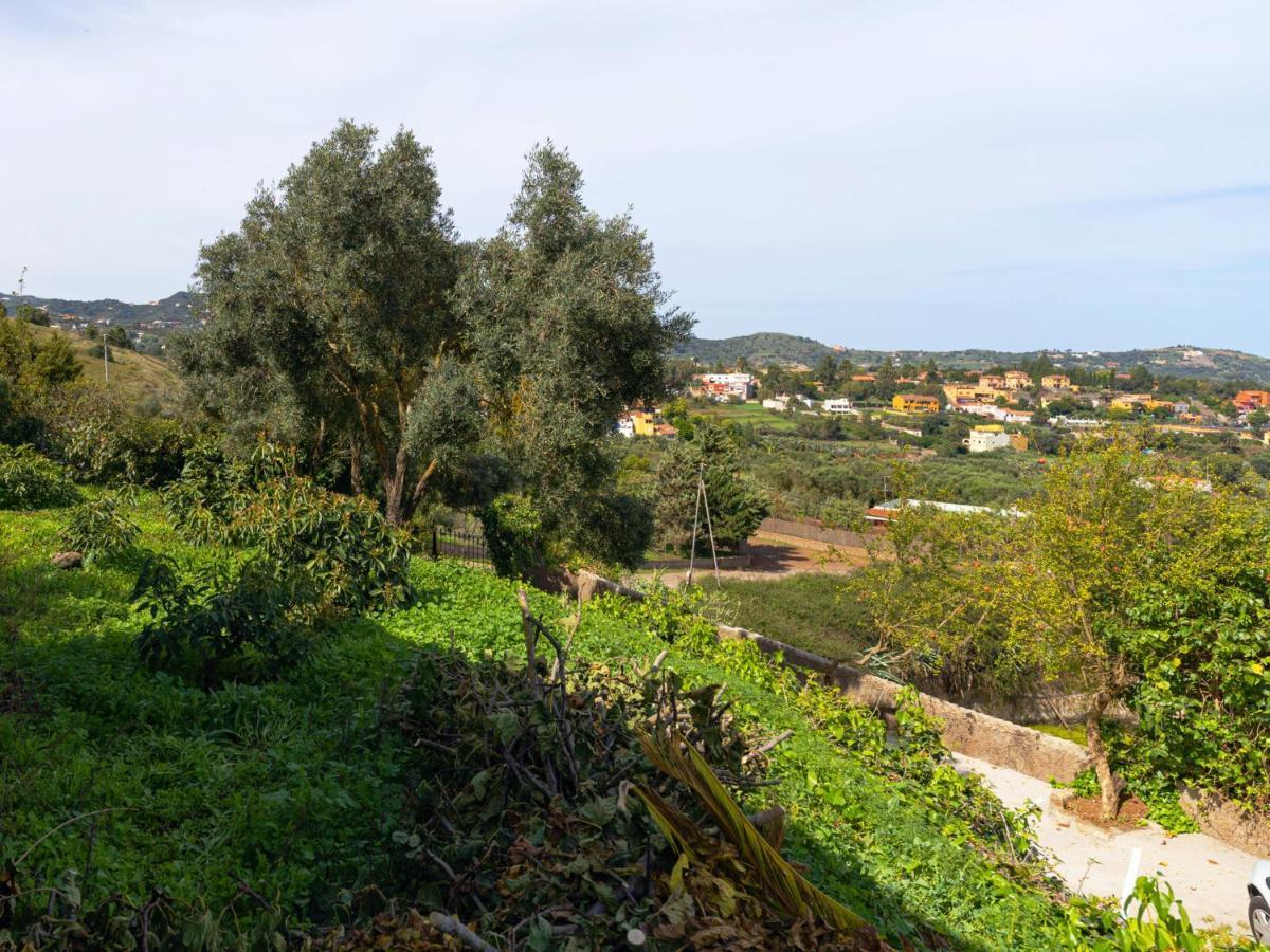 Live Finca El Gamonal Bajo Santa Brígida