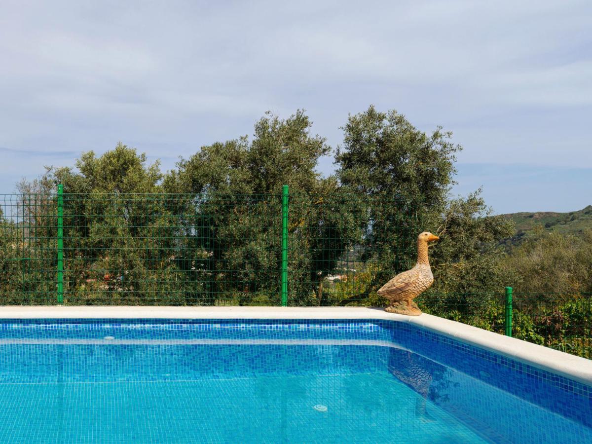 Live Finca El Gamonal Bajo * Santa Brígida