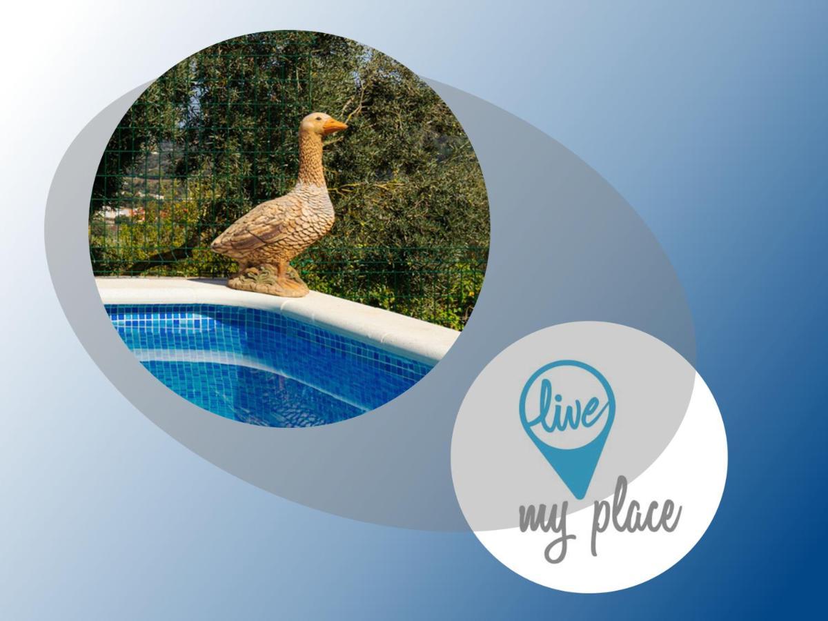 Apartamento Live Finca El Gamonal Bajo Santa Brígida