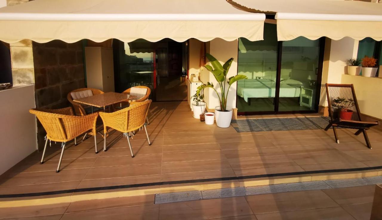 Arara Azul Interior 2 En