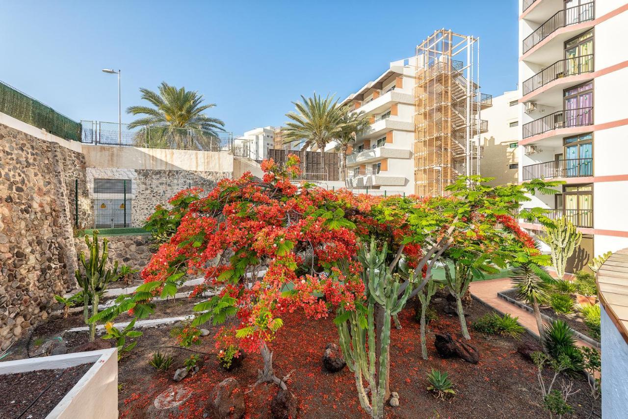 Pulpo Amarillo Playa del Ingles (Gran Canaria)