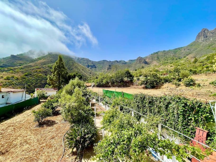 Tenteniguada Enjoy Nature Casa vacanze Las Palmas de Gran Canaria