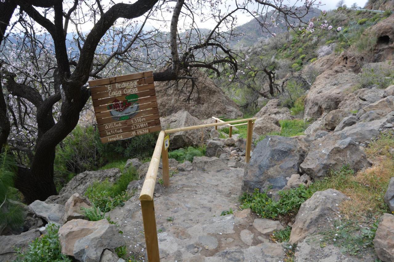 Casa Cueva El Pedregal Tejeda *