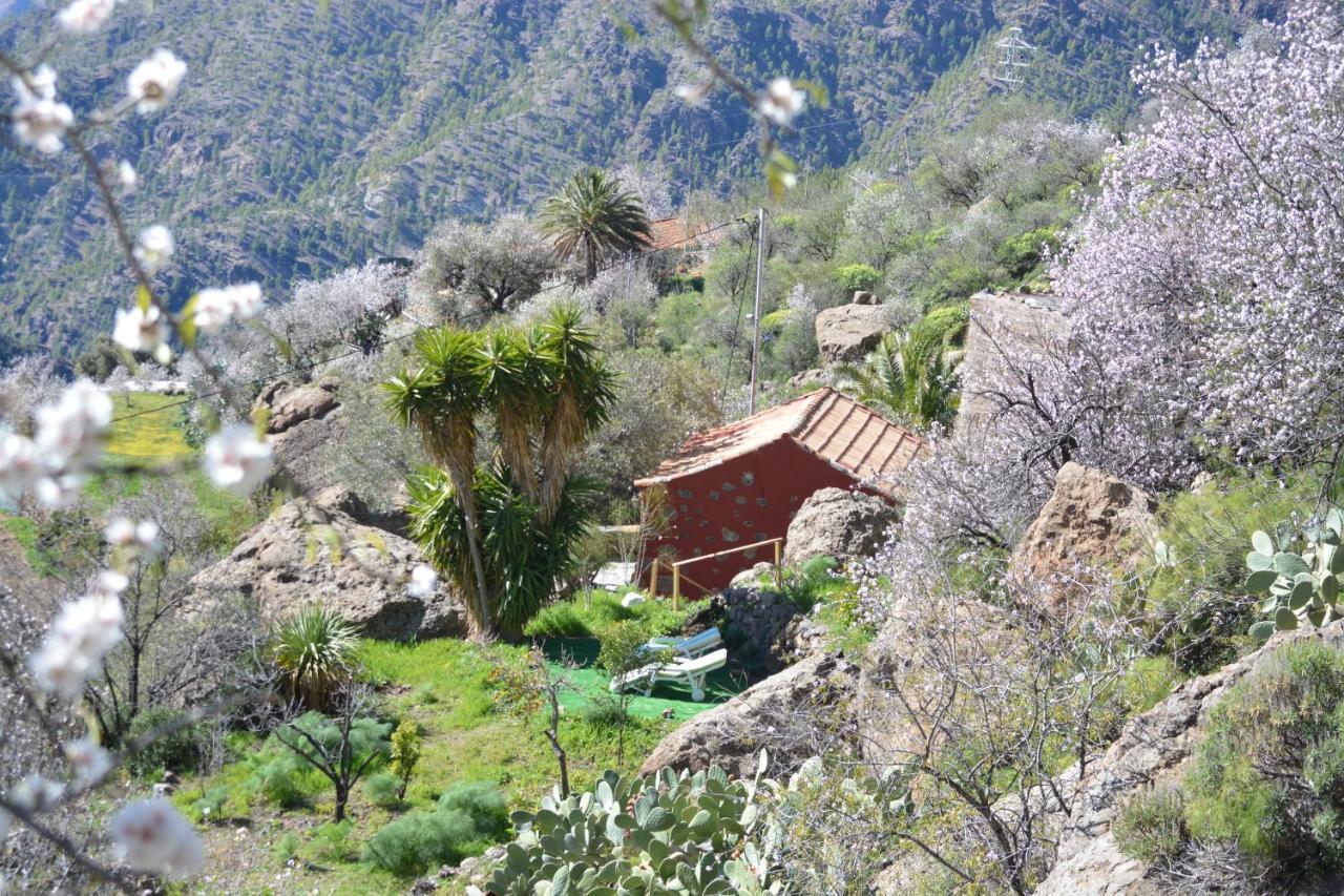 Casa Cueva El Pedregal Tejeda * Tejeda (Gran Canaria)