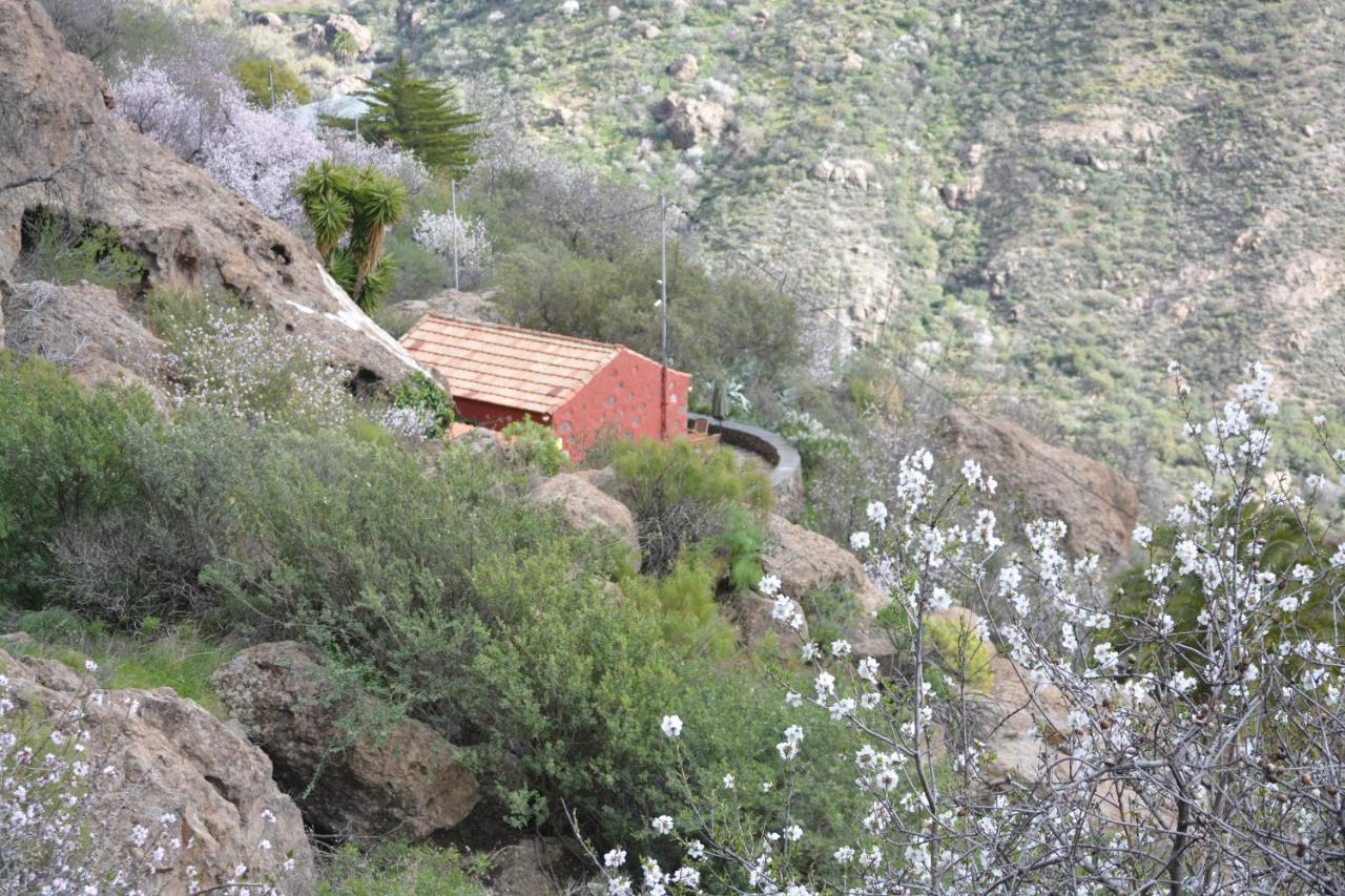 Casa Cueva El Pedregal Tejeda *