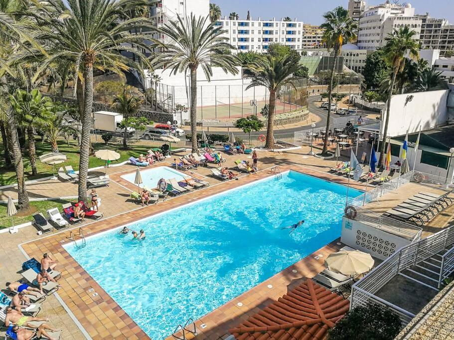 - Piscina Climatizada - Playa Del Ingles Maspalomas (Gran Canaria)