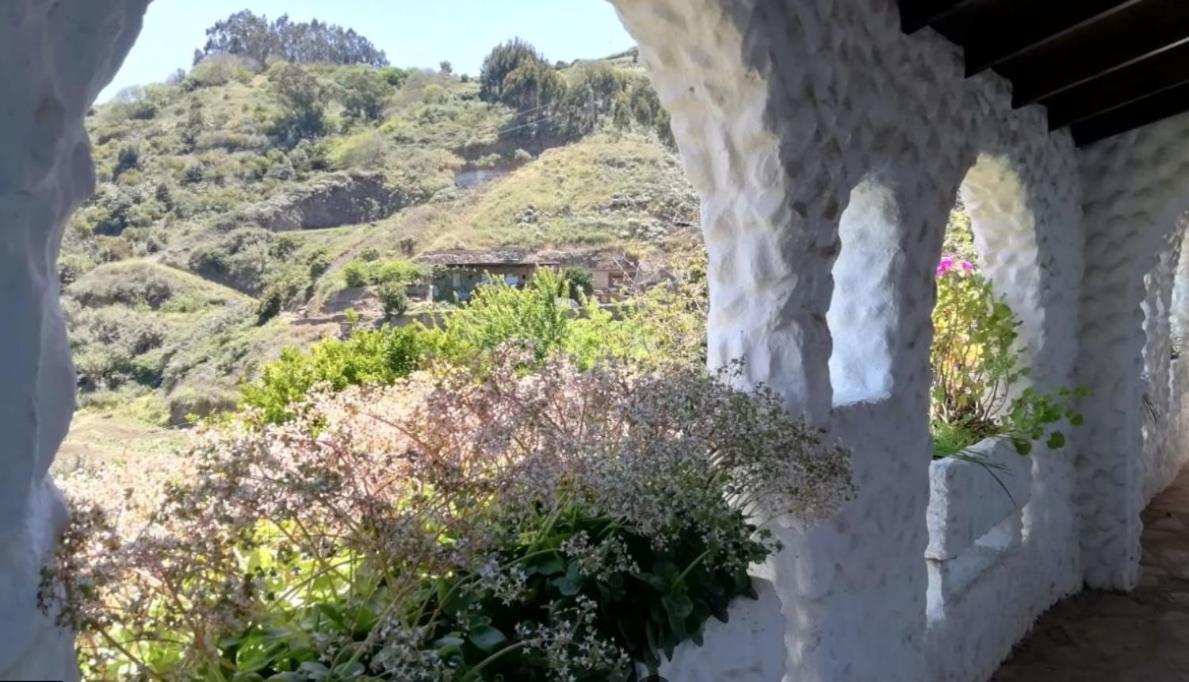 Arcos Del Laurel Moya (Gran Canaria)