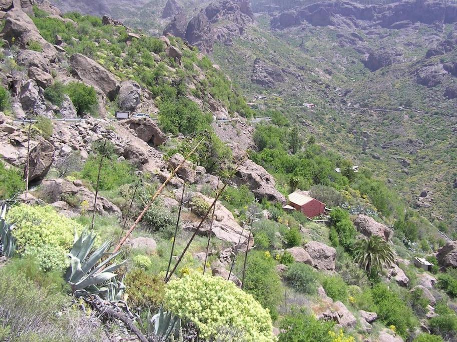 Casa Cueva El Pedregal Tejeda * Tejeda (Gran Canaria)