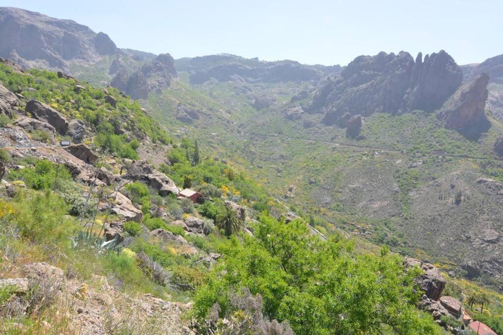 Casa Cueva El Pedregal Tejeda * Tejeda (Gran Canaria)
