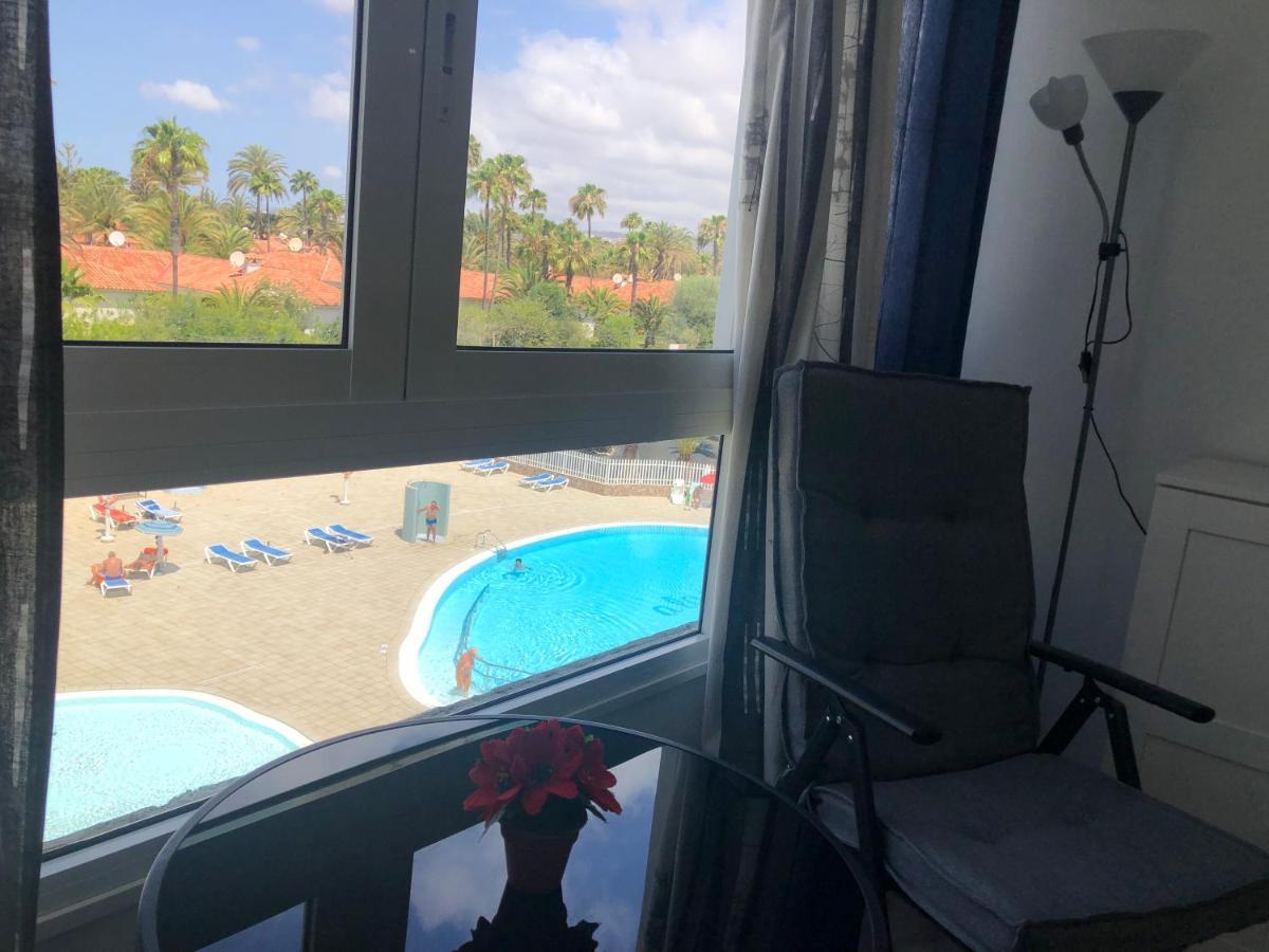 Aloe Laurent-gael * Playa del Ingles (Gran Canaria)