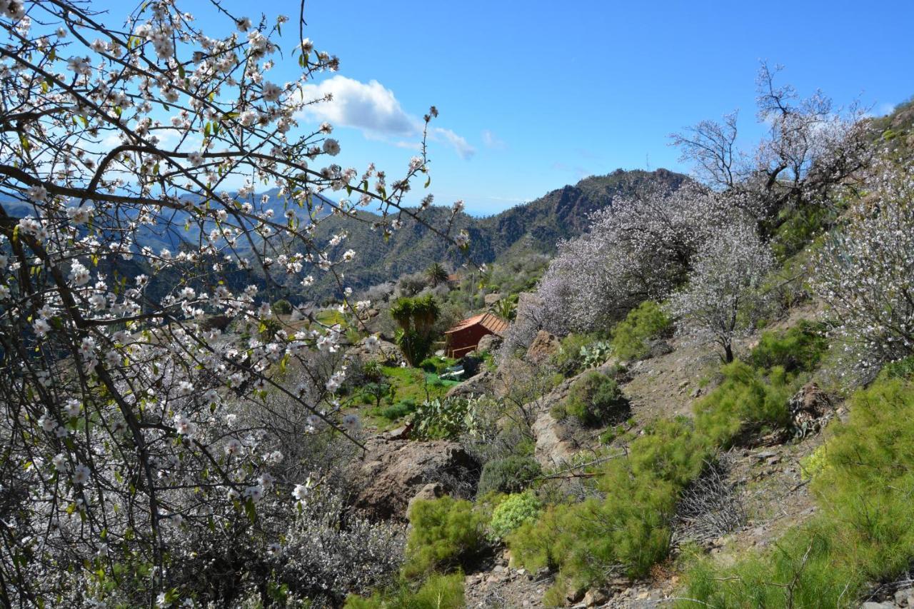 Сasa de vacaciones Casa Cueva El Pedregal Tejeda *