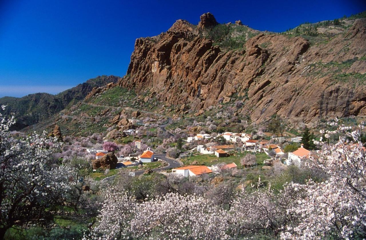 Casa Cueva El Pedregal Tejeda *