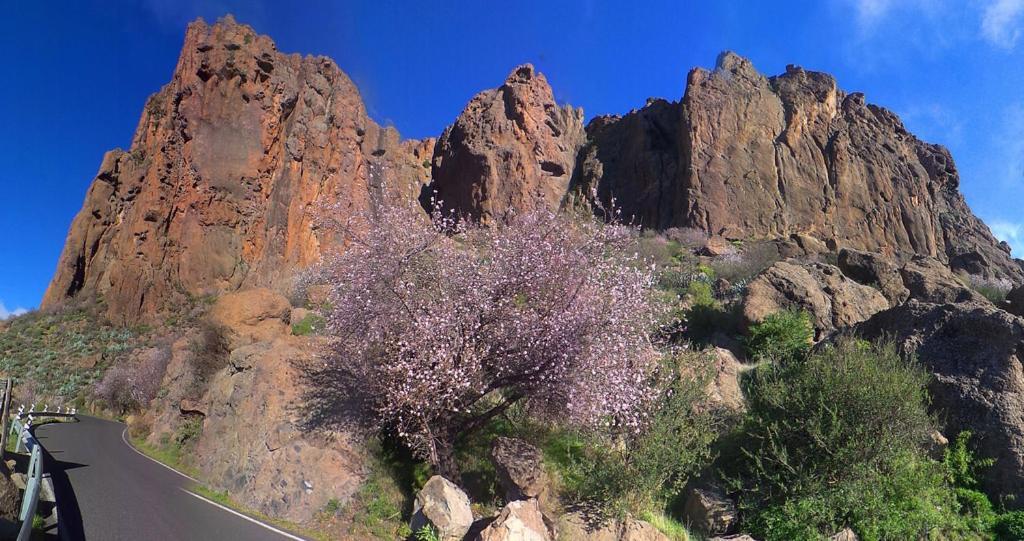 Casa Cueva El Pedregal Tejeda Tejeda (Gran Canaria)
