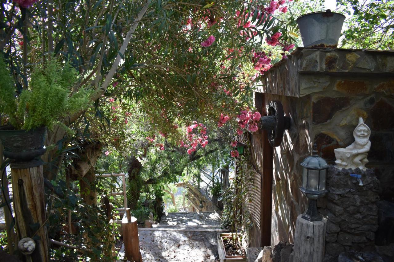 Romantica Bed & Breakfast *