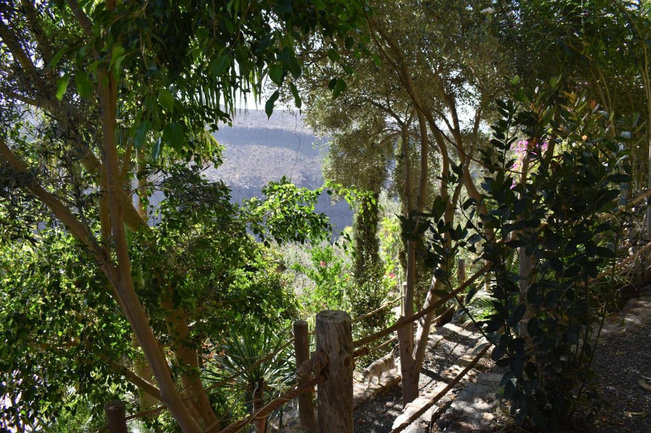 Romantica Bed & Breakfast San Bartolomé