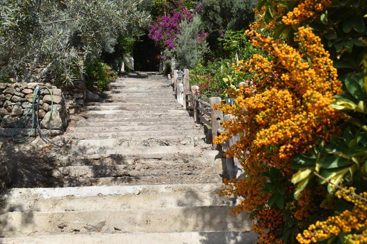 Romantica Bed & Breakfast San Bartolomé
