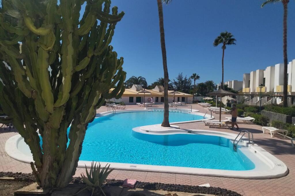 Apartamento Capri Maspalomas *