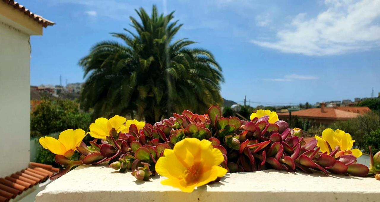 Magdalena Las Palmas de Gran Canaria