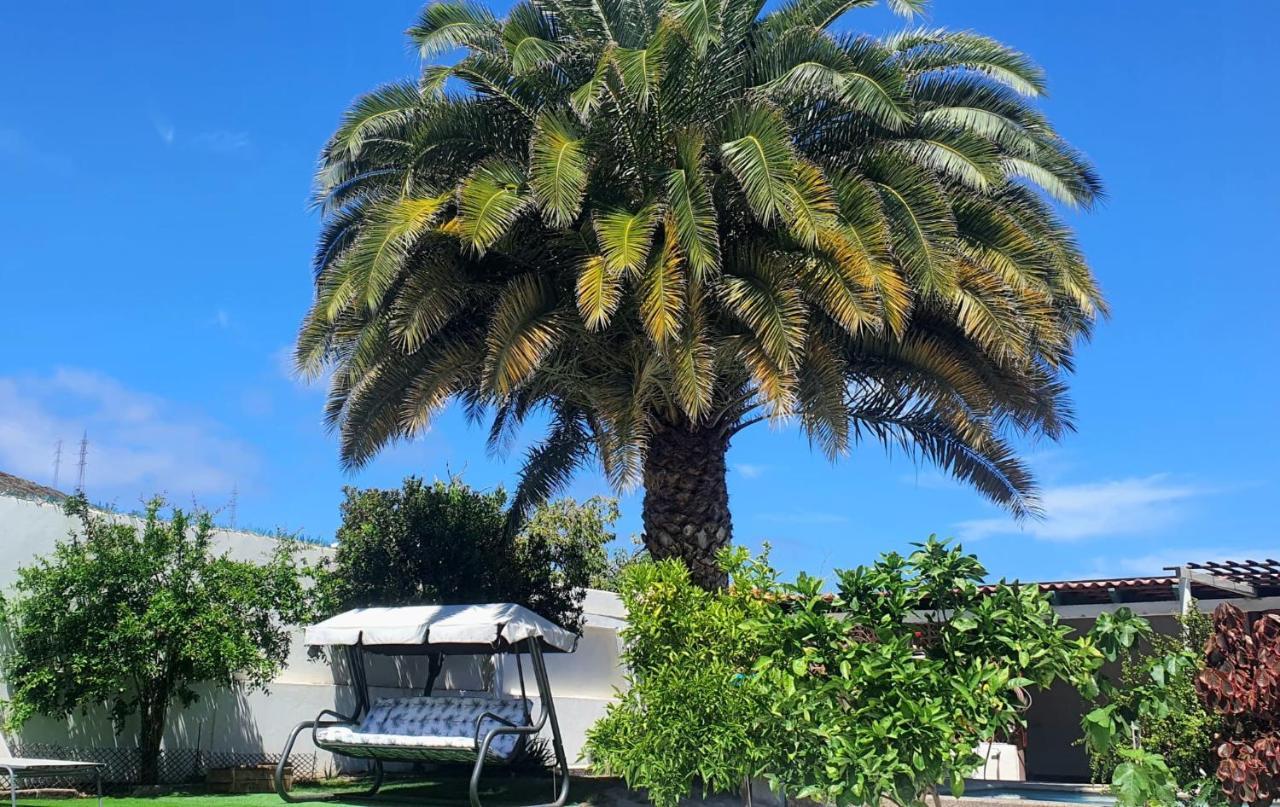 Magdalena Las Palmas de Gran Canaria