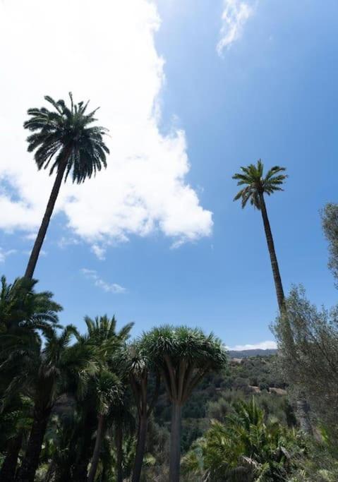 Сasa de vacaciones Artiles Las Palmas de Gran Canaria