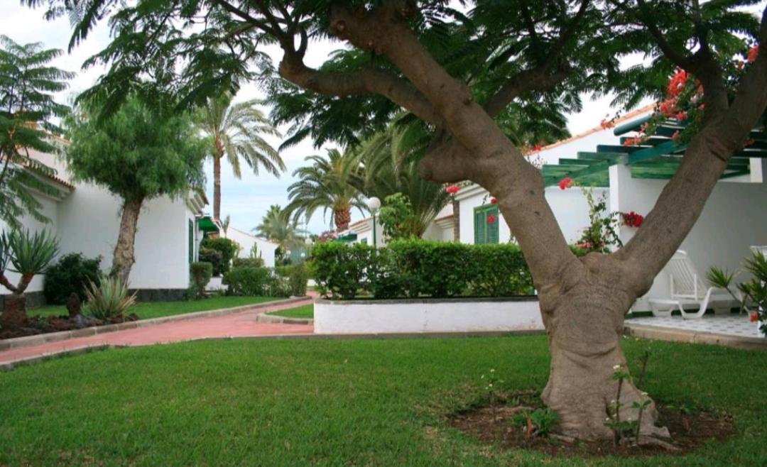 Сasa de vacaciones Maspalomas Dunas Golf