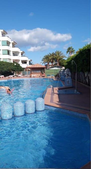 Surycan 5 El Dorado