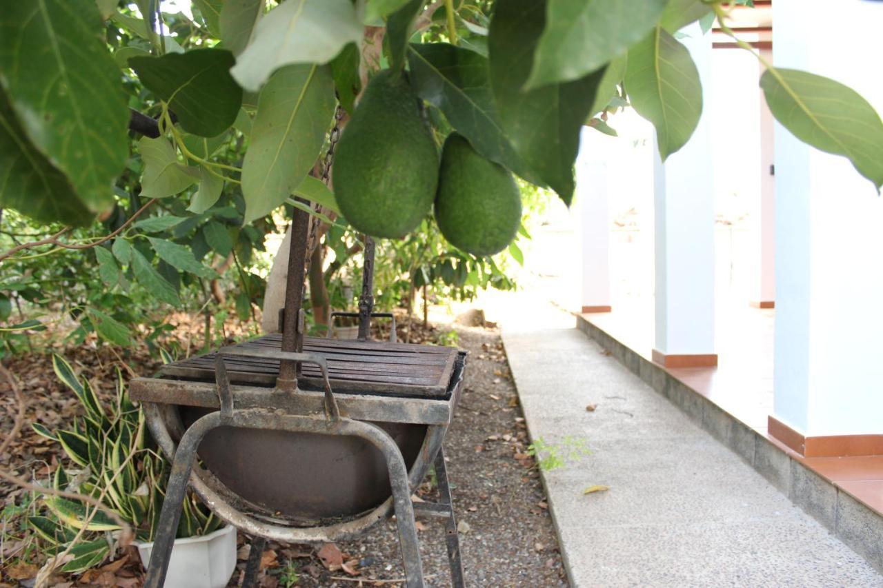 Casita Lily