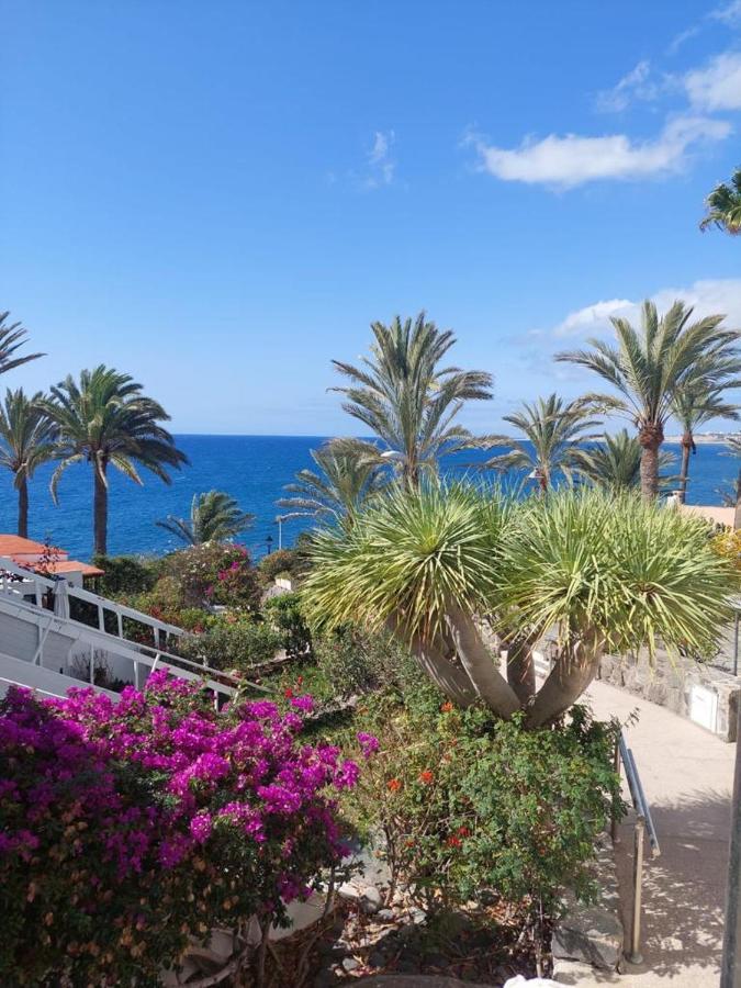 Appartamento La Casa De La Playa San Agustin Maspalomas (Gran Canaria)